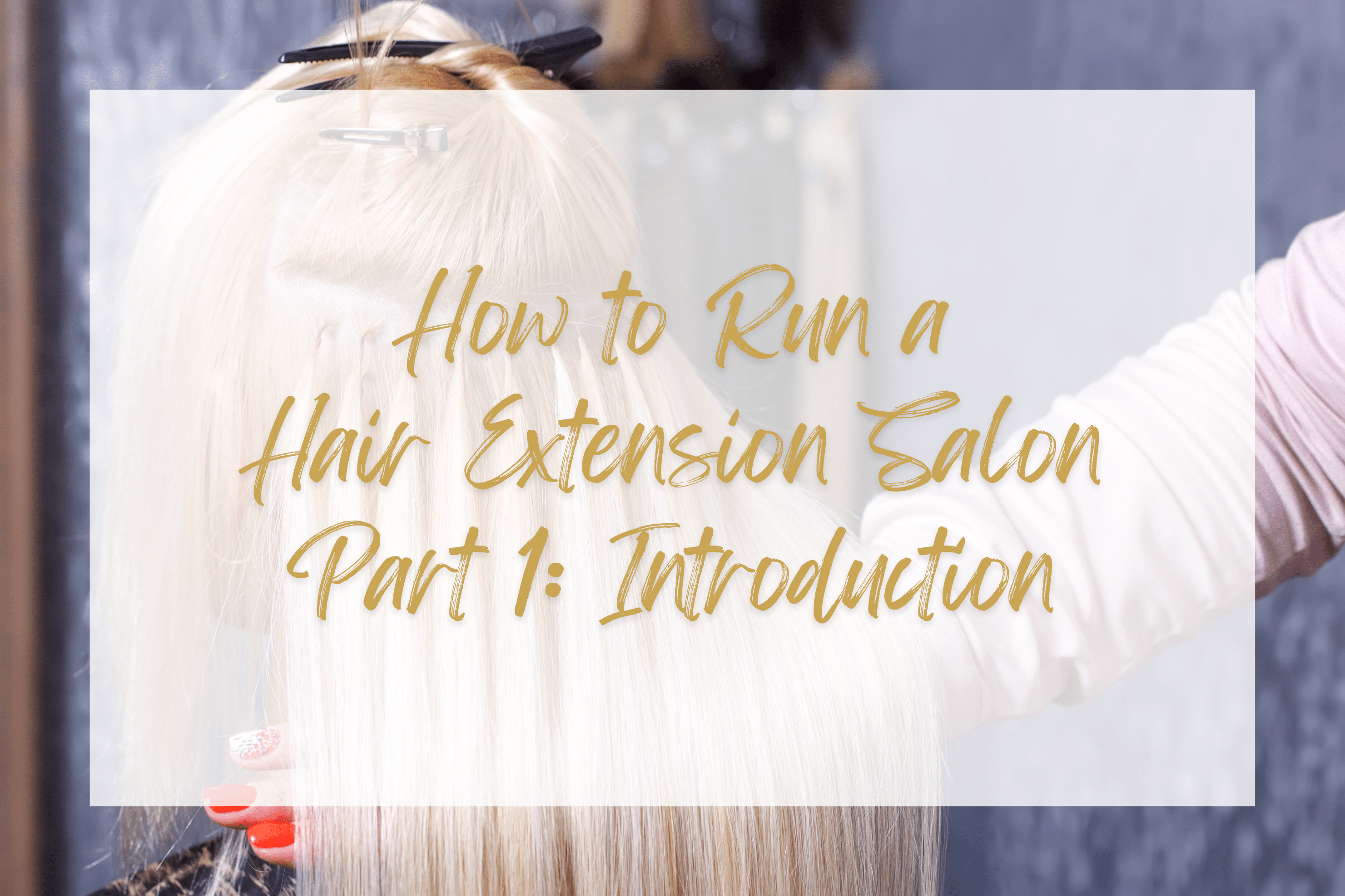 How to Run a Hair Extension Salon - Part 1: Introduction - Sophia Hair Australia