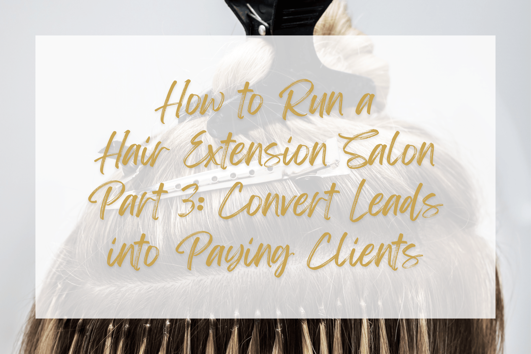 How to Run a Hair Extension Salon - Part 3: Convert Leads into Paying Clients - Sophia Hair Australia